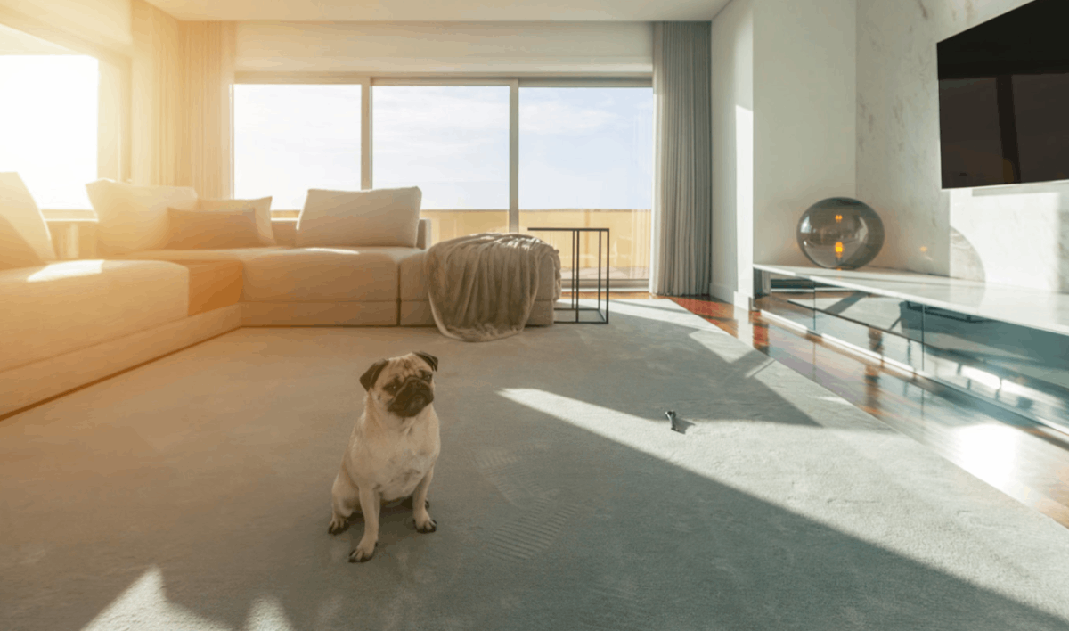 PET imunita detektora Hikvision